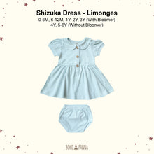 Load image into Gallery viewer, Shizuka Dress (0-6M 6-12M 1Y 2Y 3Y 4Y 5-6Y)