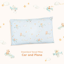 Load image into Gallery viewer, TENCEL Dreamland Pillow
